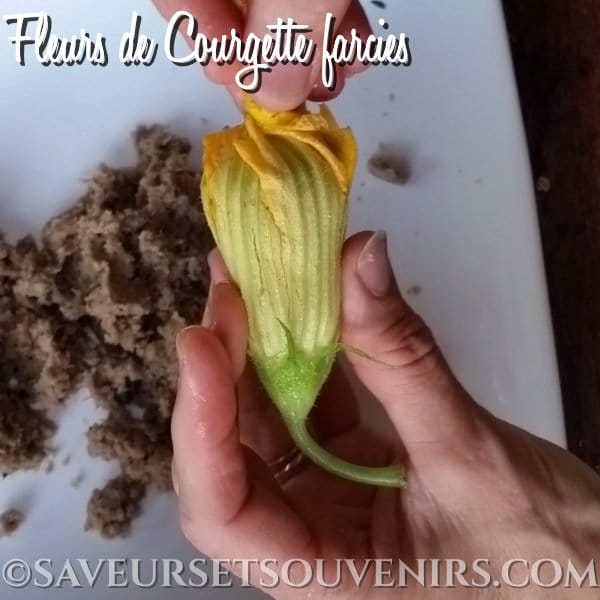 Fleurs de courgette farcies