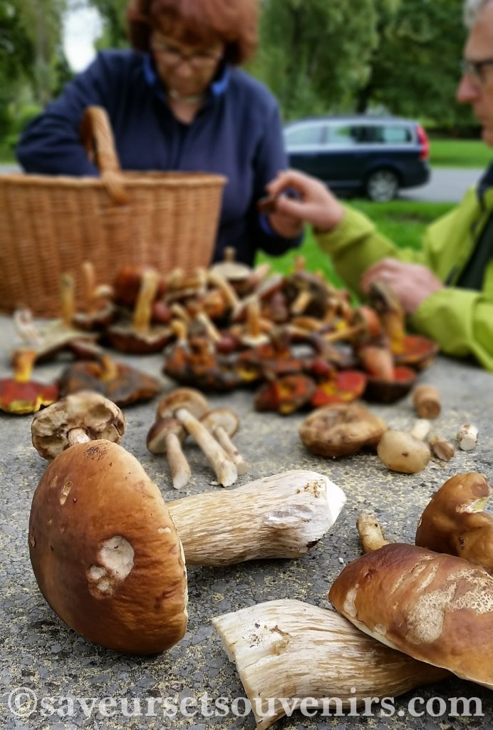 Cette belle récolte de champignons des bois nous réchauffera le coeur et le ventre pendant l'hiver !